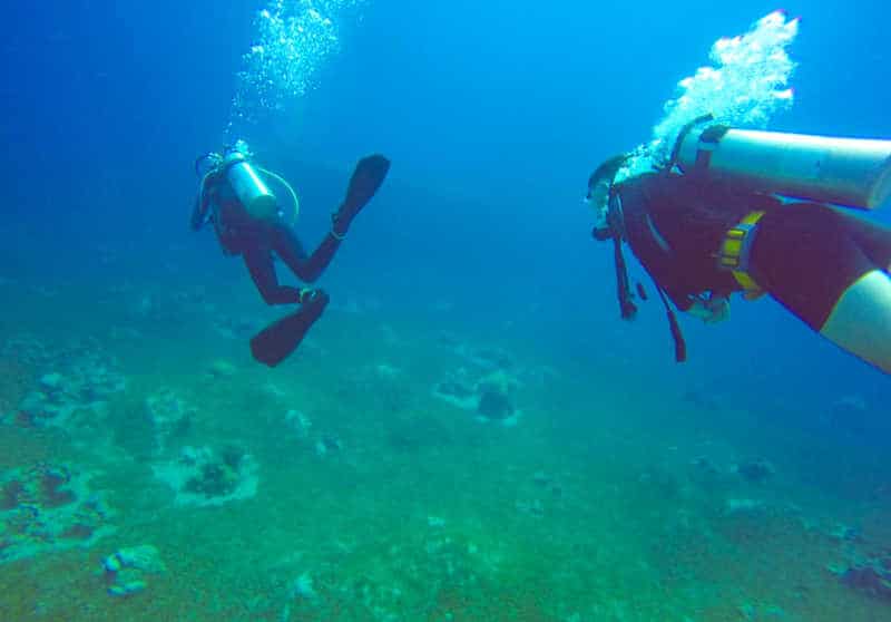 People diving in Ocean Grove Victoria. 