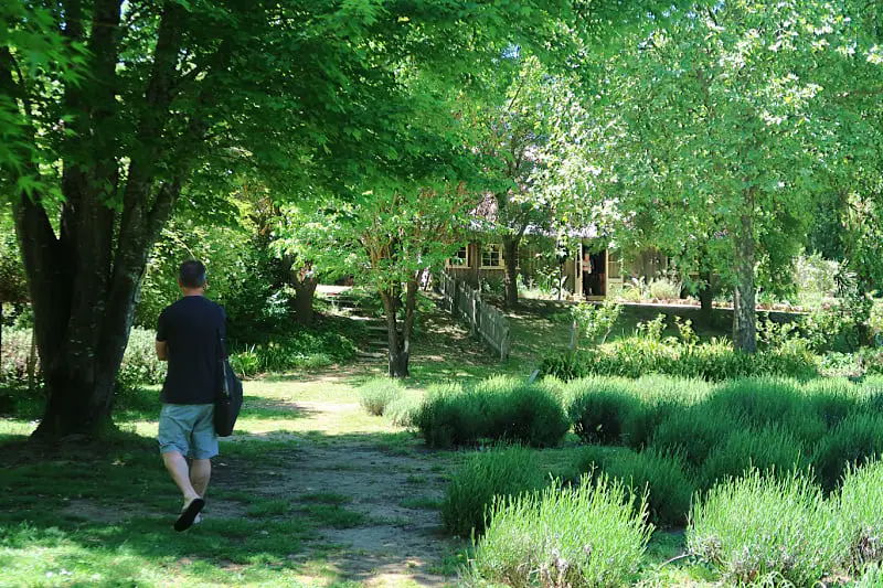 Man walking along a dirt path leading to a cottage with a person standing in the open doorway at Lavendulah Farm. The path is shaded by lush green trees and there are lavender bushes beside the path. Visiting the lavender farm is one of the most relaxing things to do in Daylesford Victoria.
