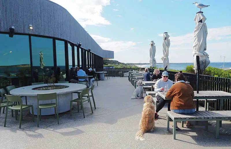 Patrons dining outdoors with their dog at The Dunes Ocean Grove on a clear winter's day.