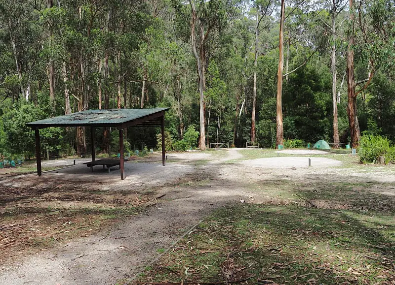 Allenvale Campground amongst the gum trees with a covered picnic table and a small green tent. A Victoria Parks campground near the Great Ocean Road.