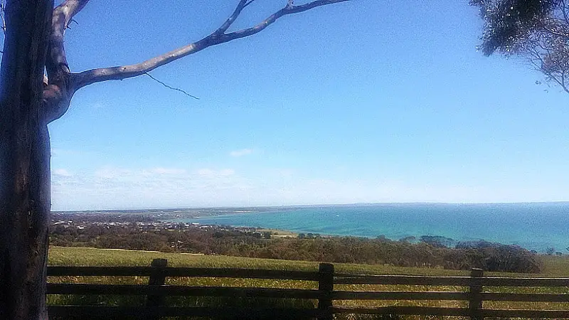 View of the bay on the Bellarine Peninsula on a clear day with bright blue skies. There is a wooden fence and a tree branch in the foreground. 