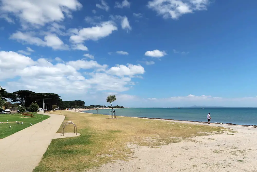 A tranquil view of the Portarlington foreshore, with a walking path adjacent to the sandy beach, people enjoying the serene environment, scattered seagulls, and a clear blue sky overhead.