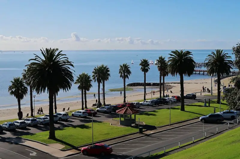 Car park at Eastern Beach. There is a row of palm trees, and Corio Bay and a small beach can be seen.