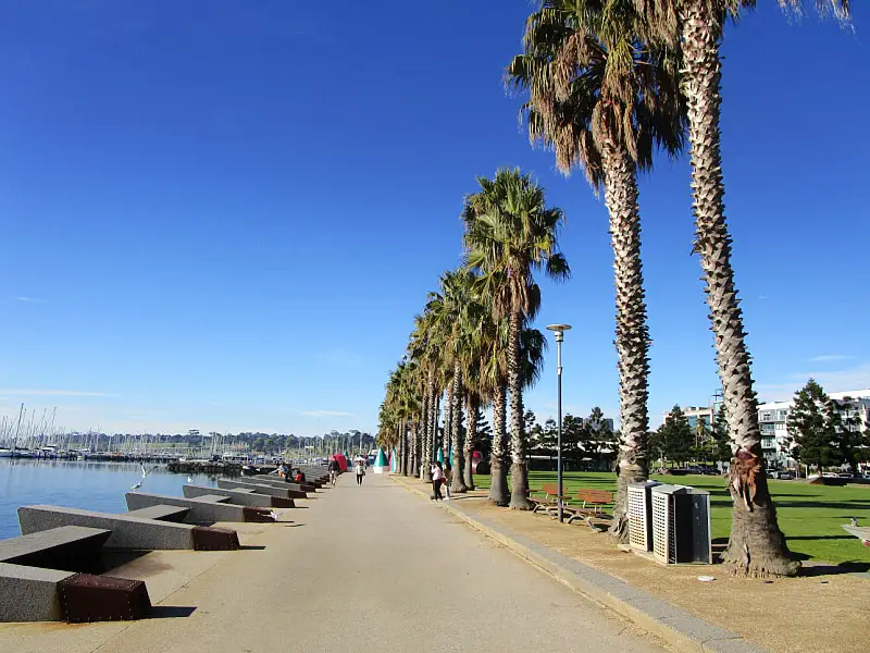 The Geelong Waterfront Baywalk on a clear day with palm trees on one side and the bay on the other. There are people walking along the path in the distance.  