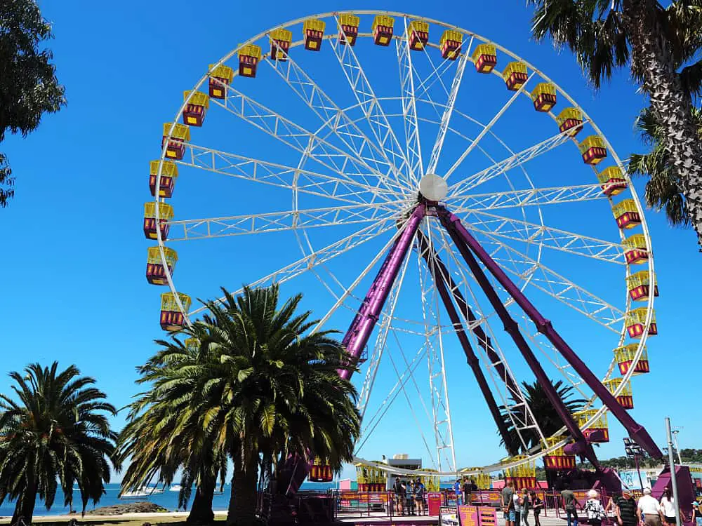 The yellow and purple Gian Sky wheel against a bright blue sky with palm trees at its base. The Giant Sky Wheel is a fun Water Geelong attraction.