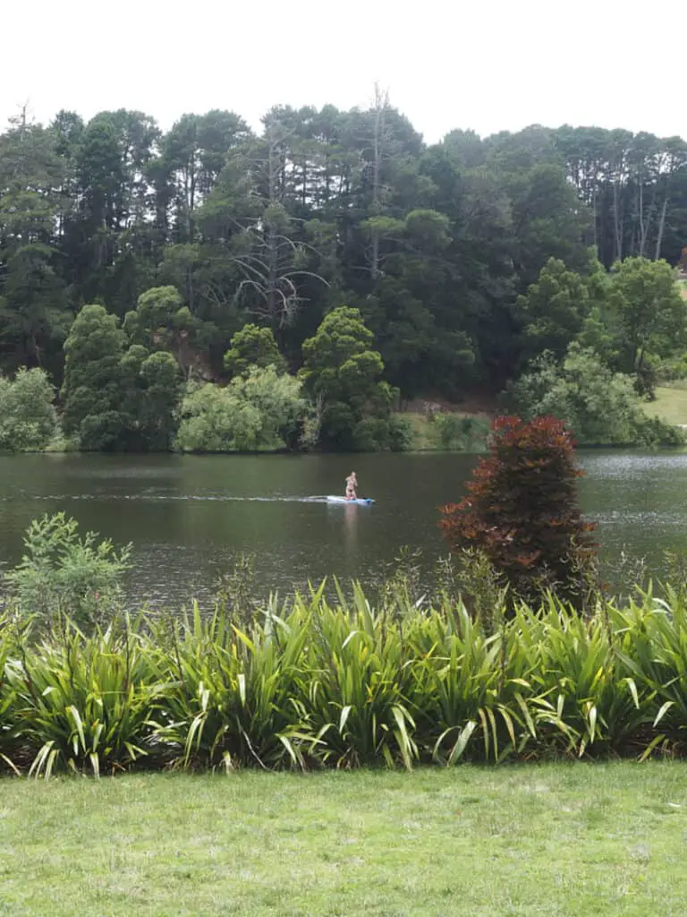 A paddleboarder on Lake Daylesford surrounded by trees and shrubs. One of the beautiful attractions in Daylesford. 