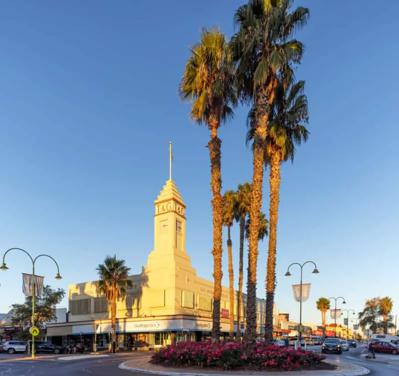 View of the historic Mildura T&G Building with tall palm trees in the foreground on a clear blue day.
