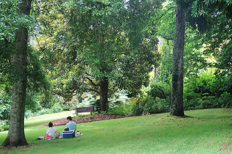 Couple sitting on the grass enjoying a picnic surrounded by trees at Wombat Hill Botanical Gardens, one of the beautiful attractions in Daylesford.