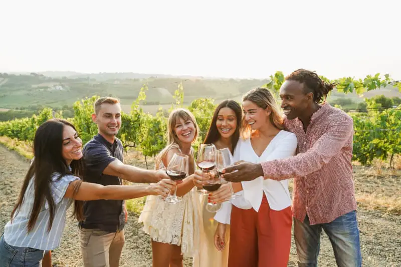 A smiling group of friends toasting with red wine on a Daylesford Winery Tour, surrounded by the lush vineyards under the golden light of sunset. A winery tour is one of the popular things to do in Daylesford.