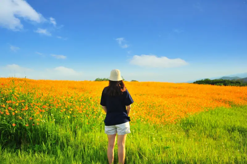 A woman in a sunhat and casual attire stands facing a vibrant orange flower farm trail, the blossoms basking in the brilliant sunlight with mountains faintly adorning the horizon, a serene scene capturing the beauty of nature walks.