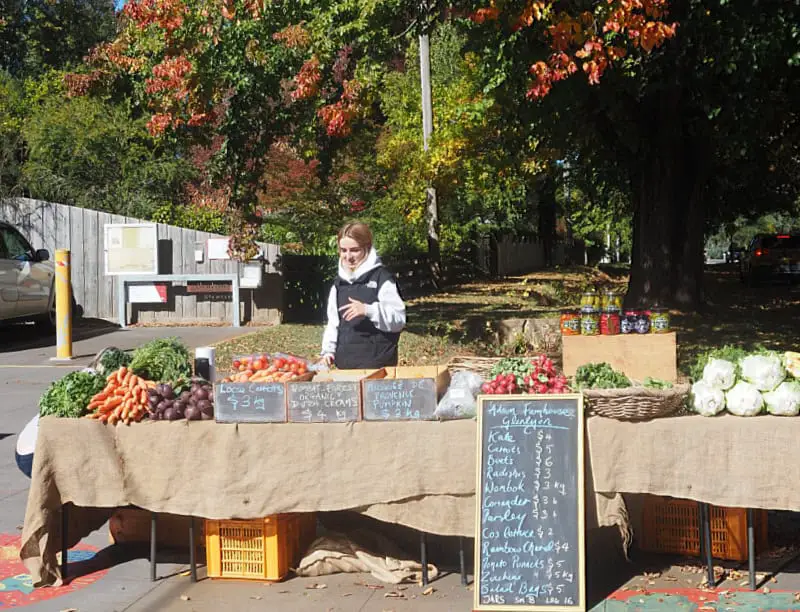 A vendor stands beside a rustic outdoor stall at the Glenlyon Village Market, with a display of fresh produce including carrots, tomatoes, and wombok. Chalkboard signs detail items like kale, parsley, and pumpkin with prices, set against a backdrop of colorful autumn leaves on trees lining the street.