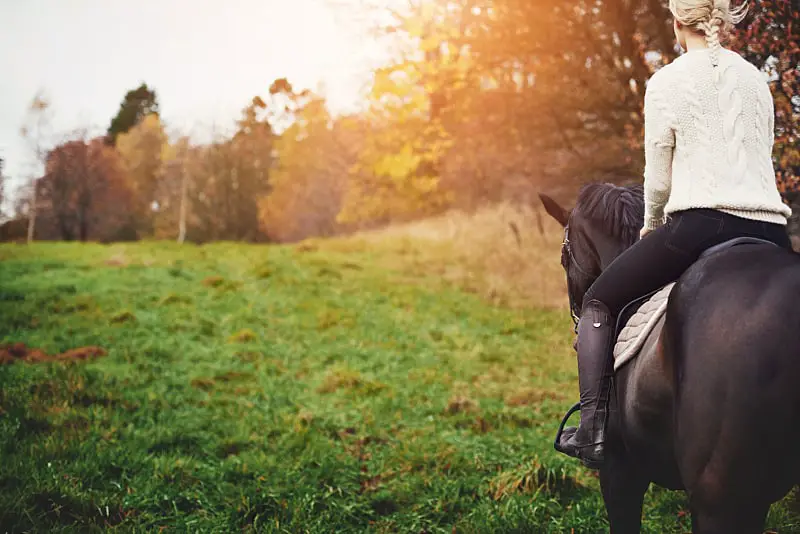 A rider in a white sweater and black riding gear on a horseback journey through a lush field, capturing the essence of adventure with Hepburn Lagoon Trail Rides.