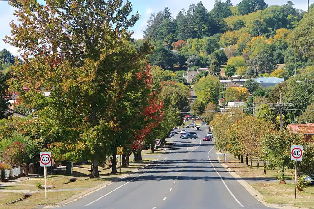 A serene view of a street in Hepburn Springs with lush trees in hues of green and auburn, cars driving down the road on a bright autumn day.