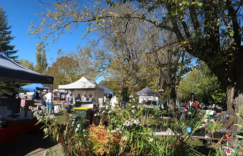 Bustling atmosphere at the Trentham Farmers Market on a clear day, with patrons browsing various stalls surrounded by vibrant greenery and blooming flowers. The market scene is set against a brilliant blue sky, with the foliage of tall trees beginning to thin, signaling the change of seasons.