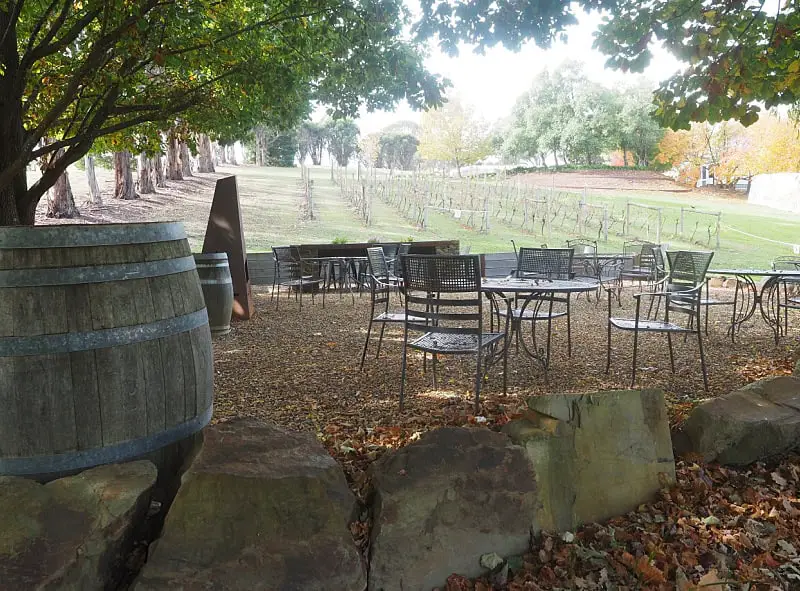 Outdoor seating area at Attwoods Winery featuring multiple black metal tables and chairs on a bed of autumn leaves. In the background, bare grapevines line the field adjacent to a row of trees with lush foliage. Large rocks and a rustic wooden barrel are visible in the foreground, contributing to the tranquil, rural setting.