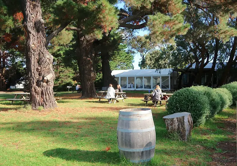 A serene outdoor setting at Bellbrae Estate features picnic tables under tall, shady trees with a wooden barrel in the foreground. Visitors are seated at the tables near a white marquee tent, surrounded by lush greenery and trimmed bushes.