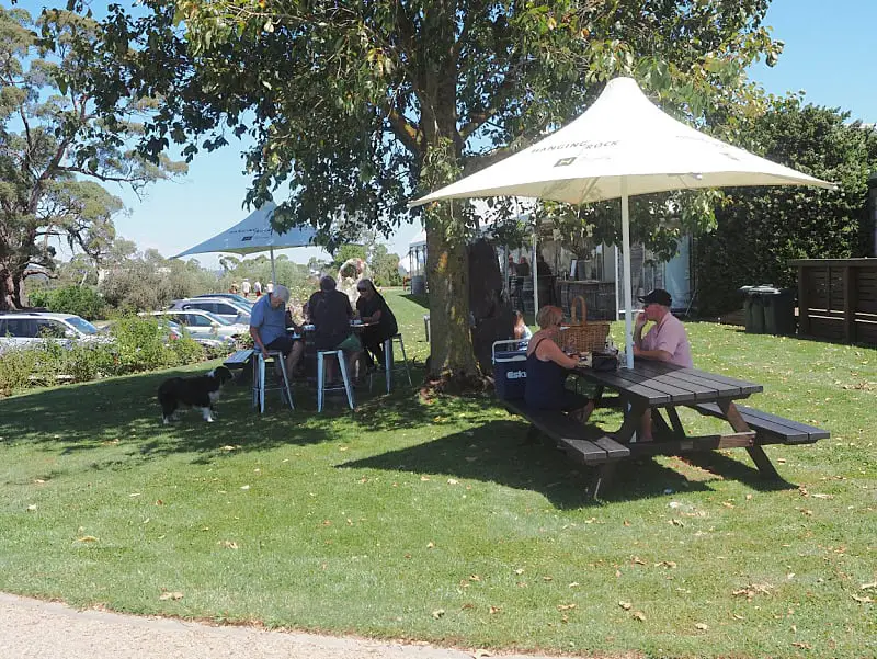 People enjoying a sunny day at Hanging Rock Winery. Groups are seated under large umbrellas, with a lush green lawn, picnic tables, and a view of parked cars and trees in the background. A black and white dog interacts with one of the groups.