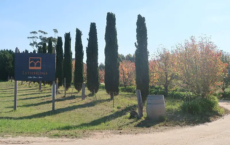 A scenic view of Lethbridge Winery features a row of tall, slender trees lining a dirt driveway. A sign with the winery's name, "Lethbridge," is prominently displayed next to a wooden barrel, with colorful foliage and vineyards in the background.