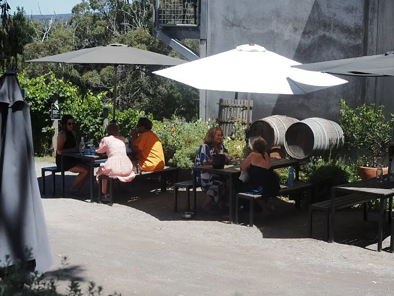 Outdoor seating area at Mount Towrong Winery, featuring guests enjoying wine and conversation at picnic tables under large umbrellas. The rustic setting includes wine barrels used as decor, surrounded by lush plant life and a backdrop of a gray building.